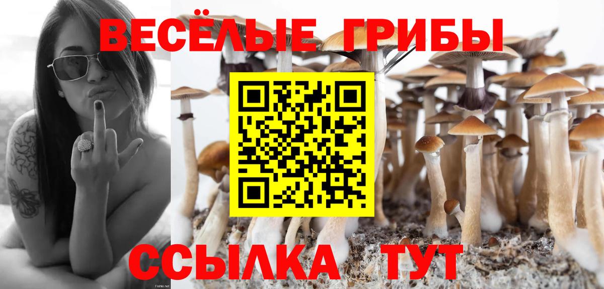 Псилоцибиновые грибы Cubensis Благодарный