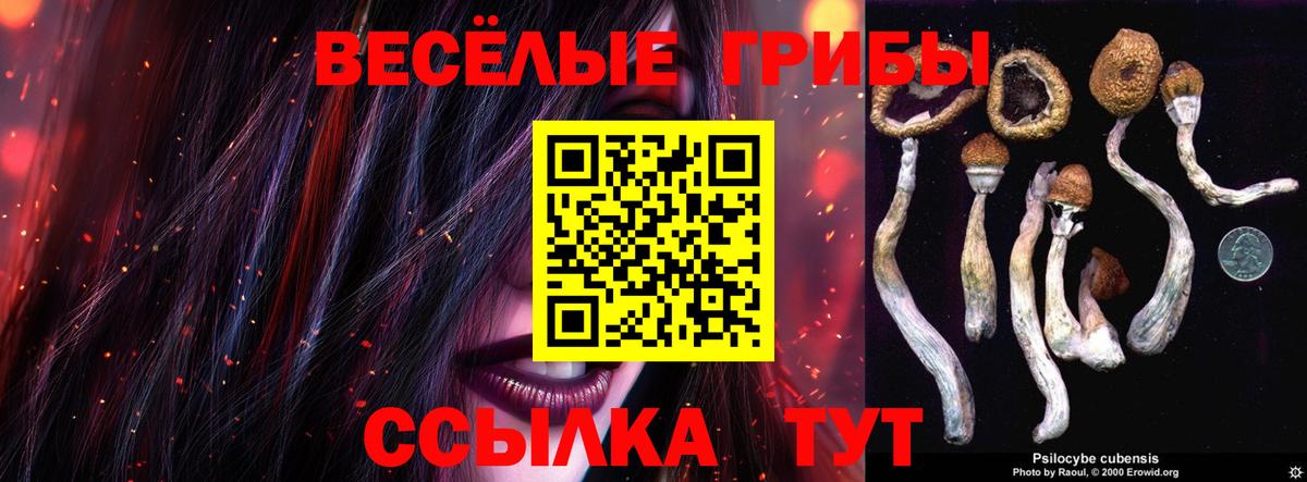 Благодарный  Псилоцибиновые грибы Magic Shrooms  Вход с VPN 